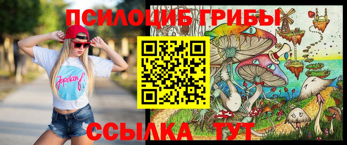 Мирный  Псилоцибиновые грибы MAGIC MUSHROOMS  Псилоцибиновые грибы GOLDEN TEACHER  Вход с VPN 