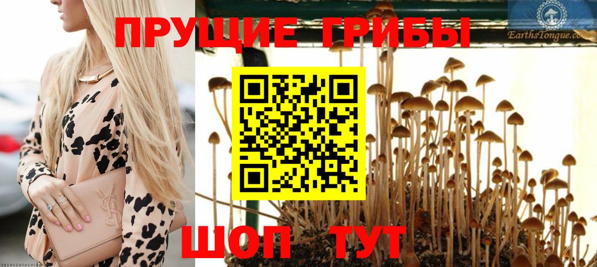 Псилоцибиновые грибы прущие грибы Мирный